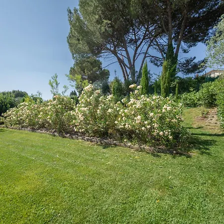 La Rosa-3 By Interhome Villa